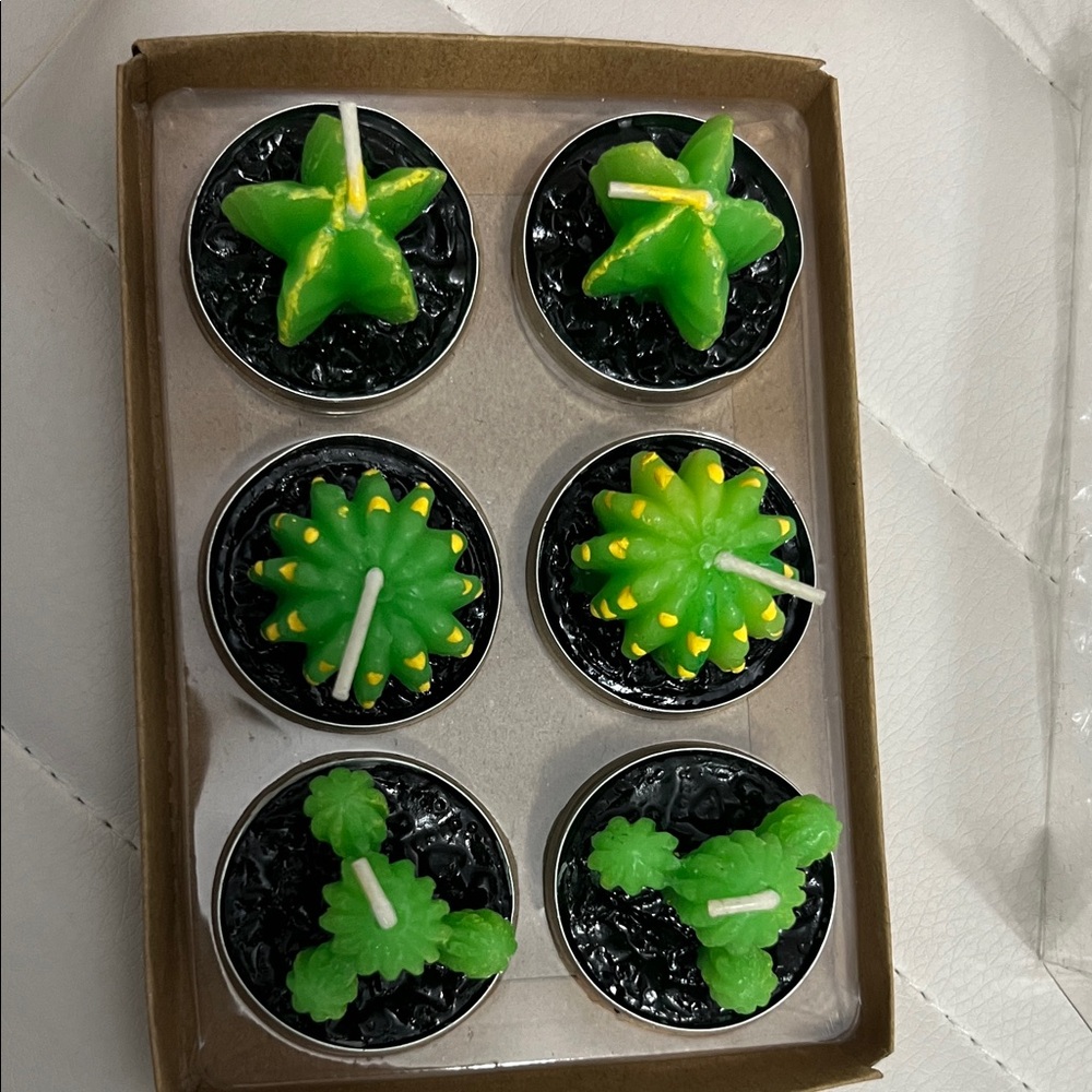 Cactus Tealight Candle Set - Green
